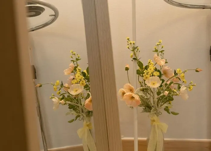 Experience The Vibrant Of At Our Stylish O-nol * ソウル特別市